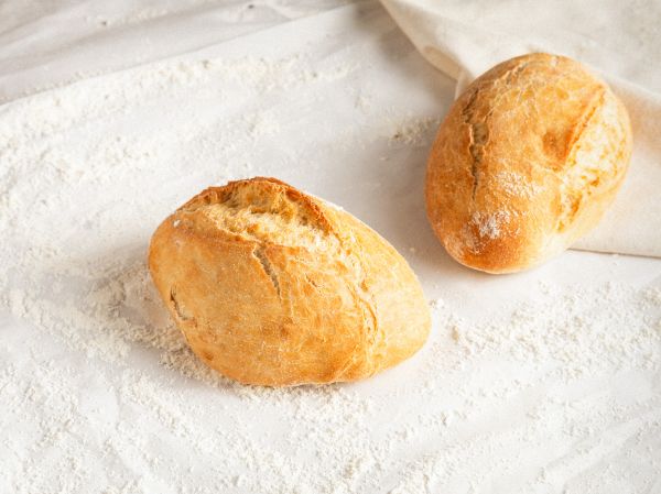 PULGUITA